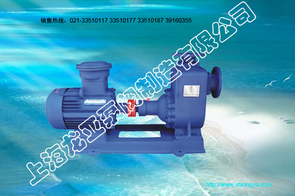 CYZ-A系列自吸油泵,自吸油泵