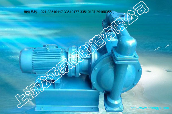 DBY系列不隔膜泵,不锈钢电动隔膜泵