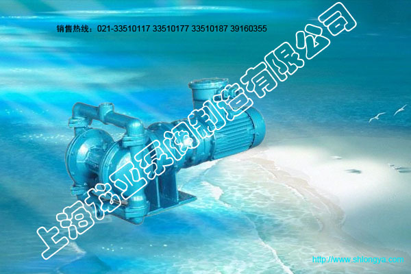 DBY型电动隔膜泵,隔膜泵