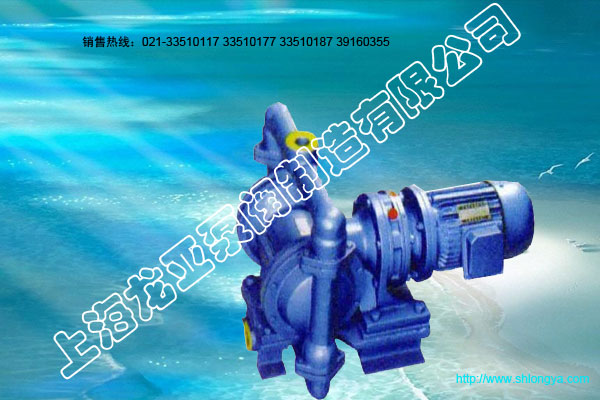 DBY系列隔膜泵,电动隔膜泵