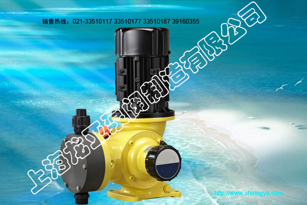 GM系列隔膜式计量泵,计量泵