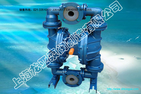 QBY-25衬F46气动隔膜泵