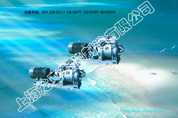 SK系列真空泵,水环式真空泵