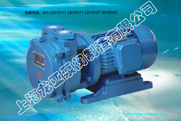 直联水环式真空泵,SK-0.15真空泵