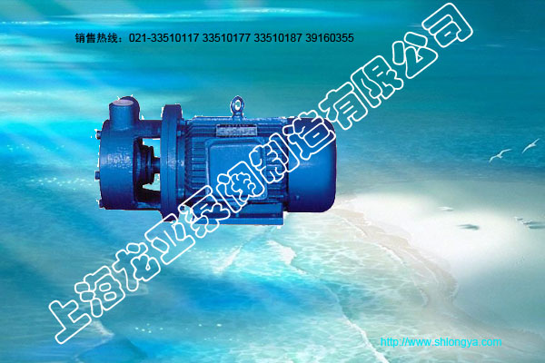 1W型漩涡泵,单级漩涡泵