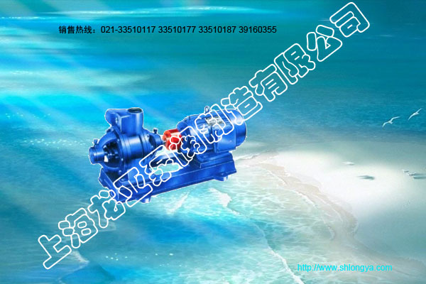 旋涡泵,单级悬臂式旋涡泵