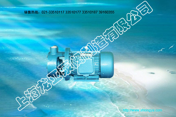 CW系列磁力旋涡泵,旋涡泵