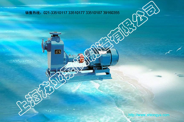 ZW系列排污泵,自吸式无堵塞泵